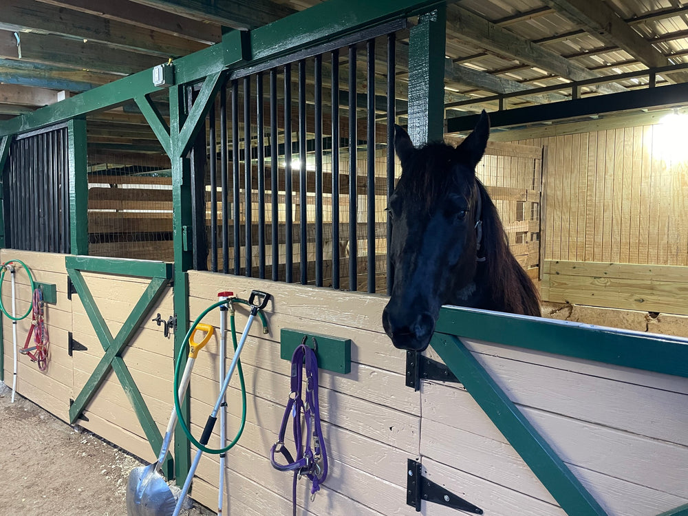 Fiddlers Green RV Ranch