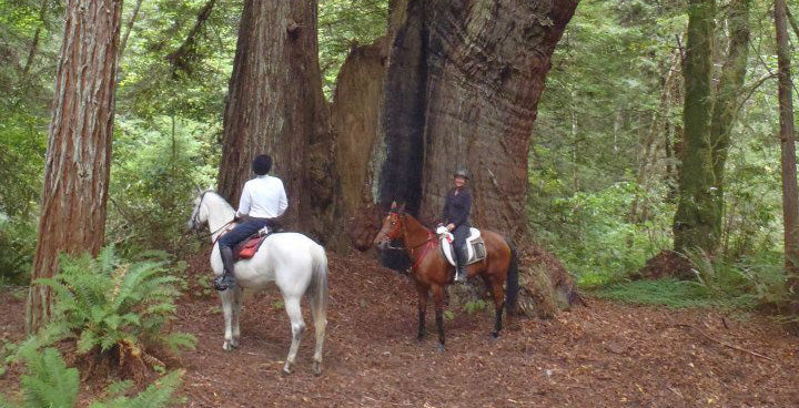 Ricochet Ridge Ranch