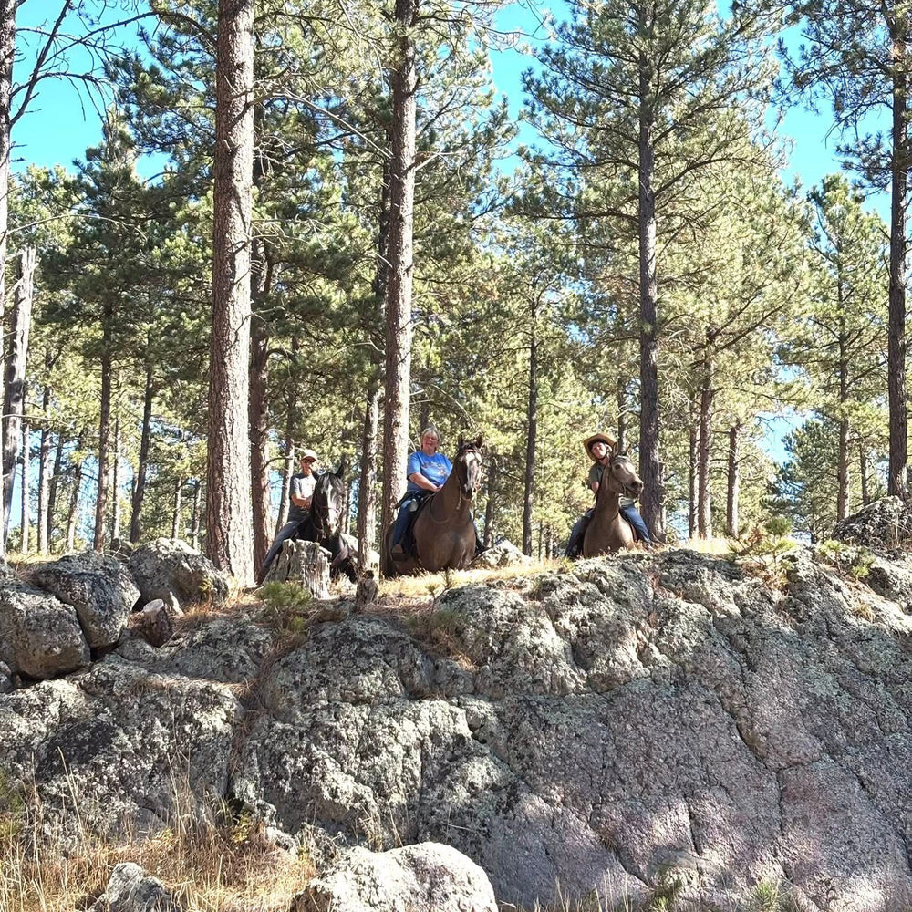 Aspen Meadow Ranch Horse Camp
