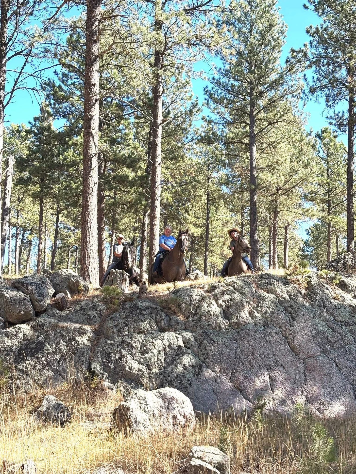 Aspen Meadow Ranch Horse Camp