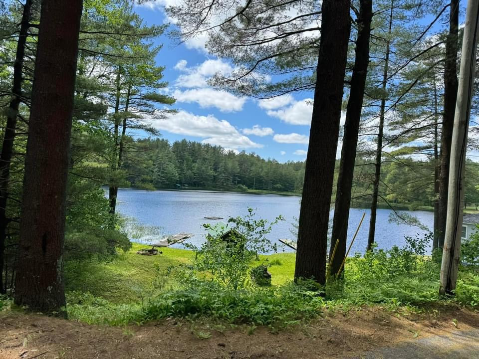 Wandering Pines - Otter Creek