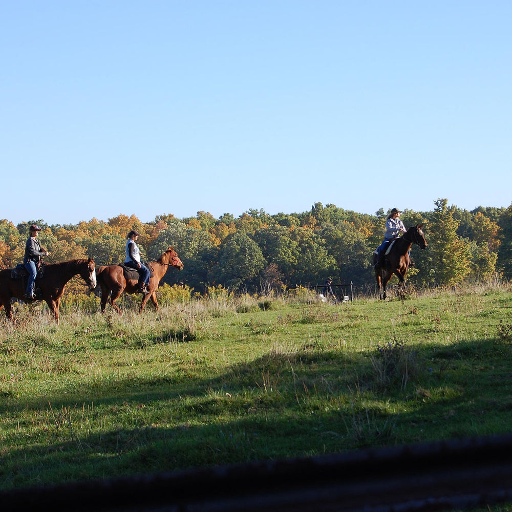 D&K Ranch