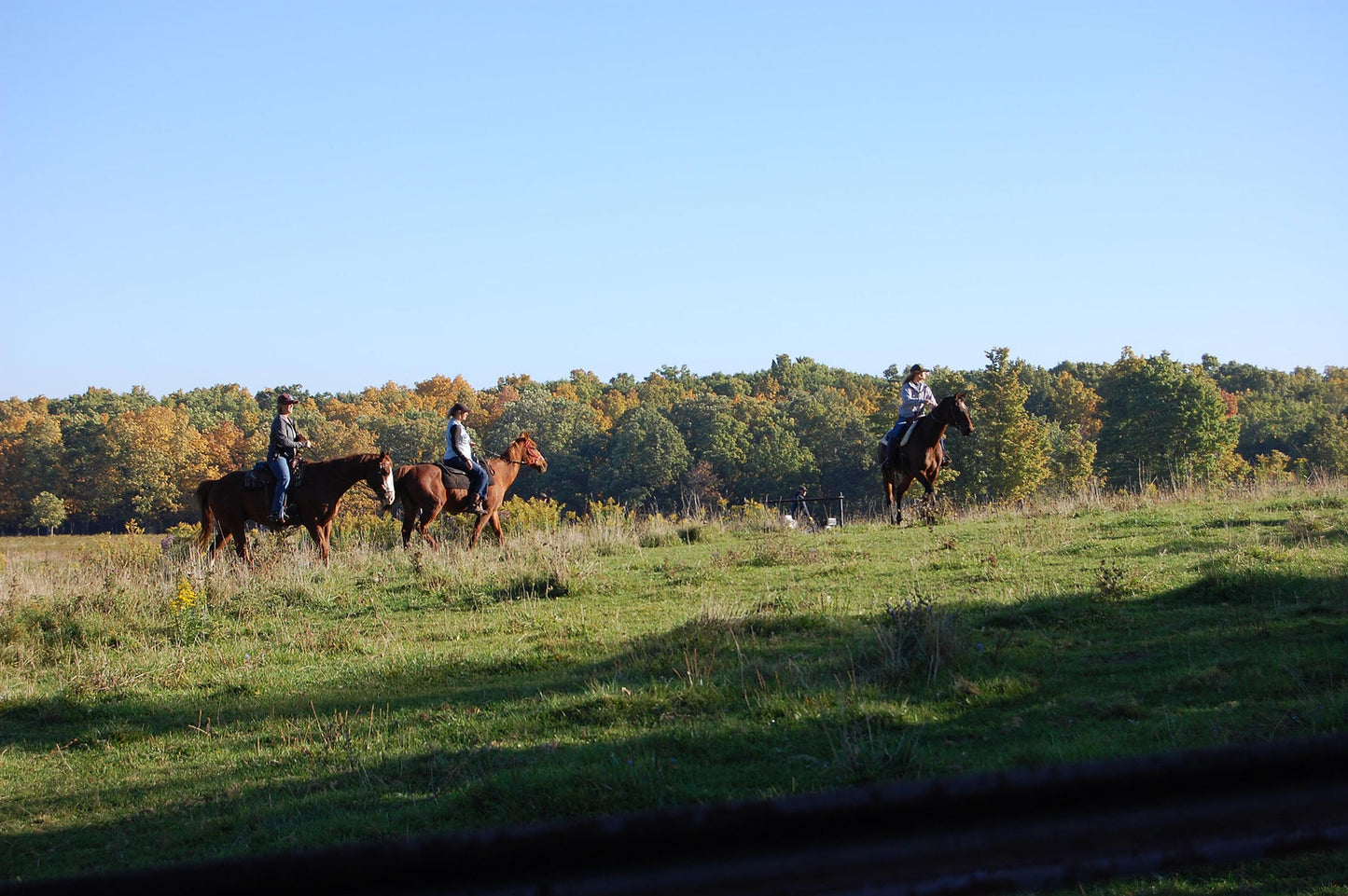 D&K Ranch