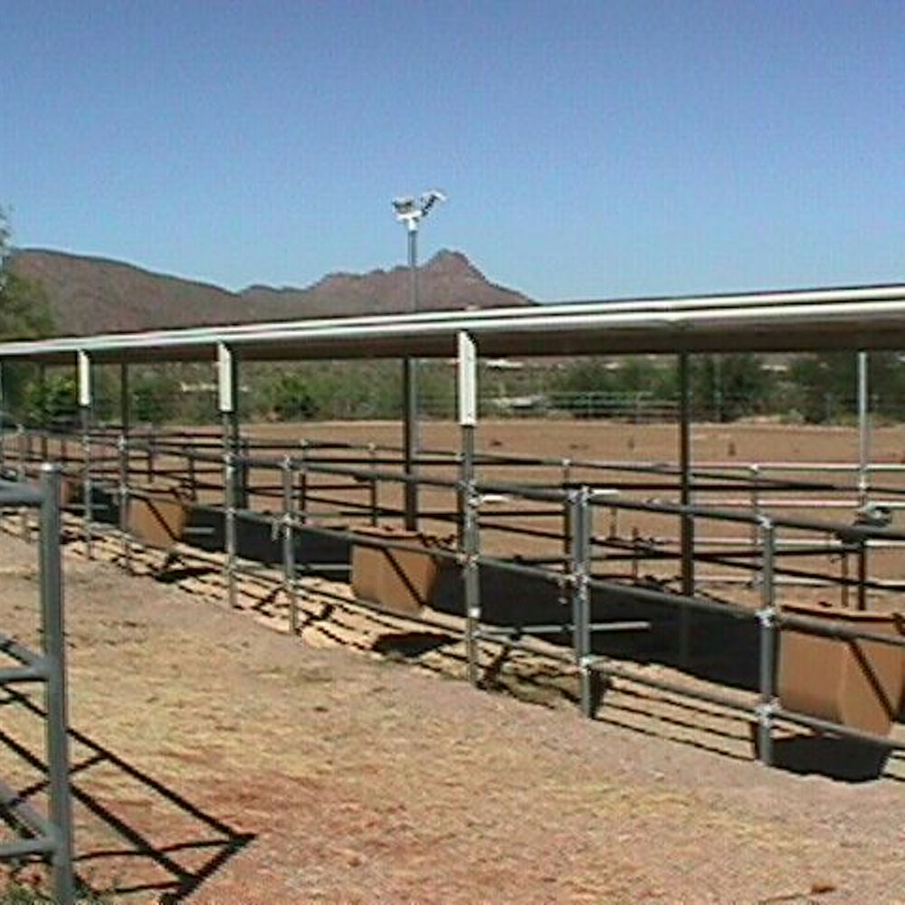 
                      
                        Rockin M Ranch
                      
                    