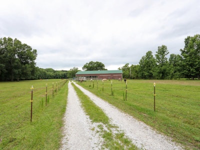 Blackwood Stables