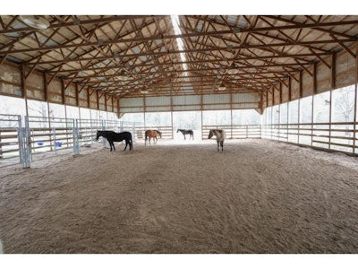
                      
                        Blackwood Stables
                      
                    