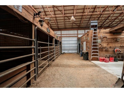 
                      
                        Blackwood Stables
                      
                    