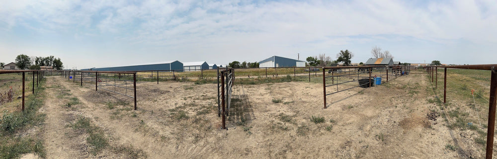 
                      
                        Schweigert Performance Horses LLC
                      
                    