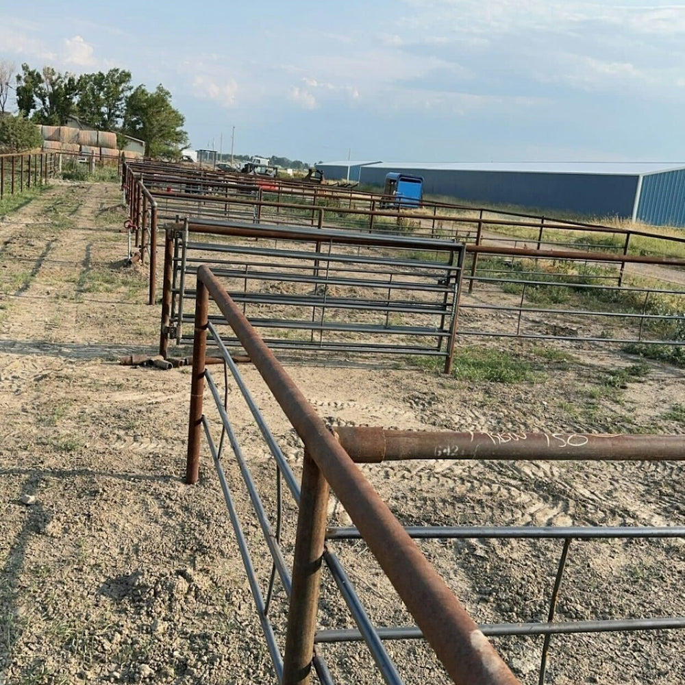 Schweigert Performance Horses LLC