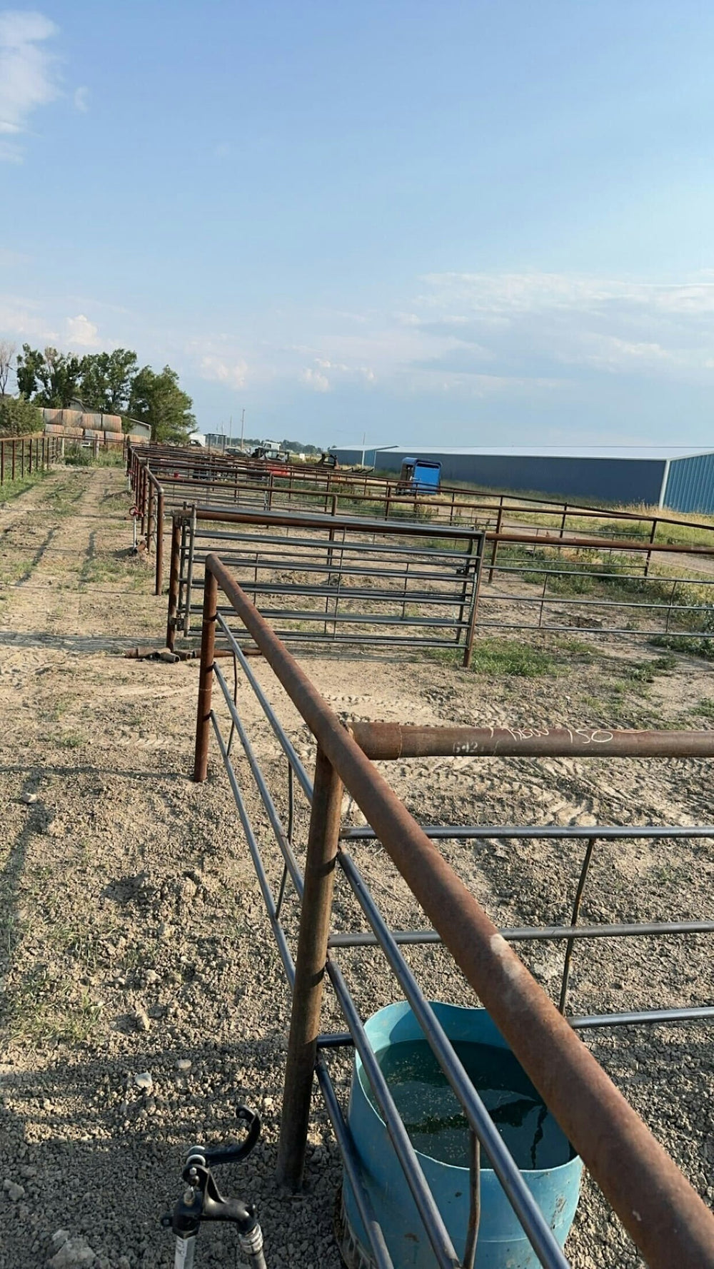 Schweigert Performance Horses LLC