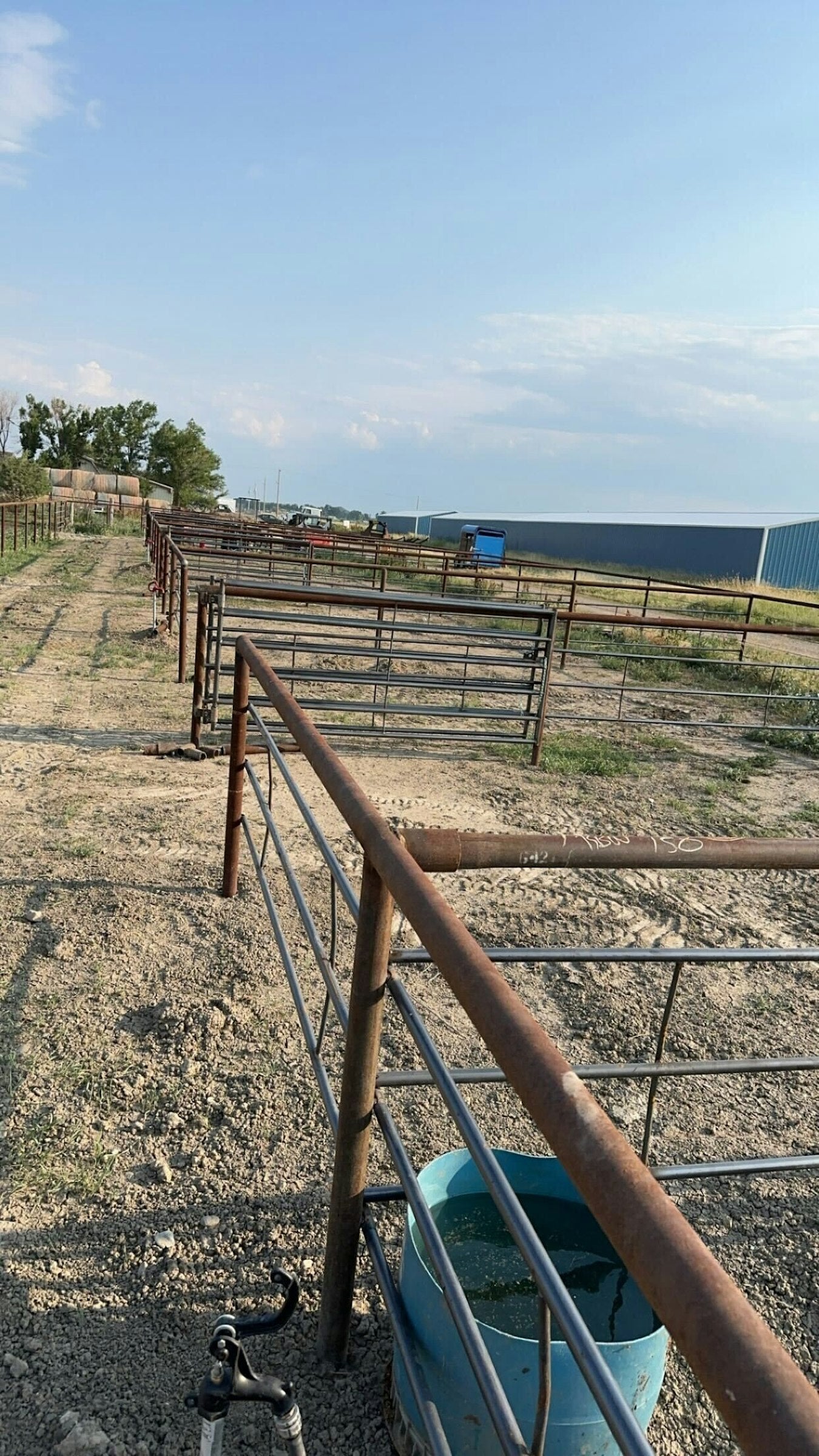 Schweigert Performance Horses LLC