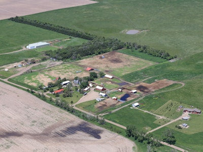 Diamond A Cattle Ranch