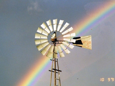
                      
                        Diamond A Cattle Ranch
                      
                    