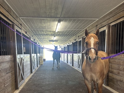 
                      
                        Burnt Oak Farm LLC
                      
                    