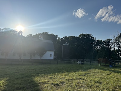 
                      
                        Burnt Oak Farm LLC
                      
                    