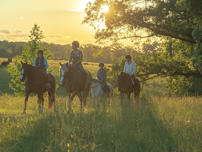 
                      
                        Burnt Oak Farm LLC
                      
                    
