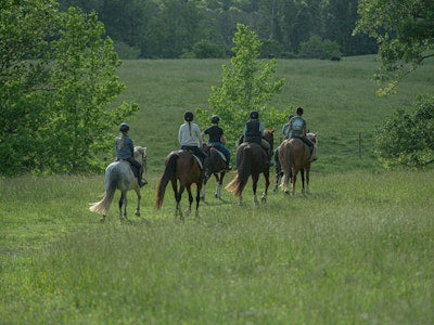 
                      
                        Burnt Oak Farm LLC
                      
                    