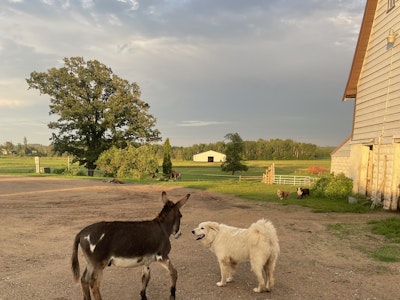 Yahweh Ranch and Arena