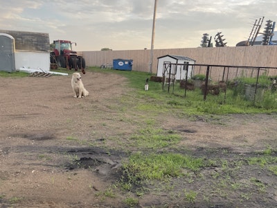 Yahweh Ranch and Arena