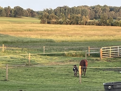 
                      
                        Yahweh Ranch and Arena
                      
                    