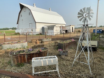 
                      
                        Yahweh Ranch and Arena
                      
                    