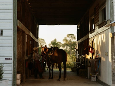 Saddle Up Stables LLC