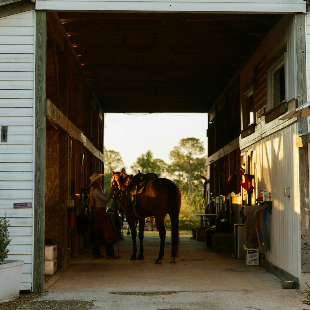 Saddle Up Stables LLC FLORIDA