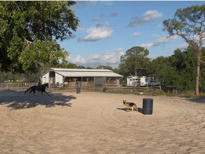 
                      
                        Saddle Up Stables LLC
                      
                    