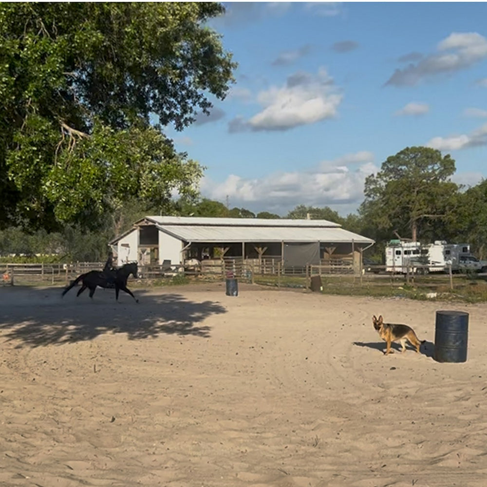 Saddle Up Stables LLC FLORIDA