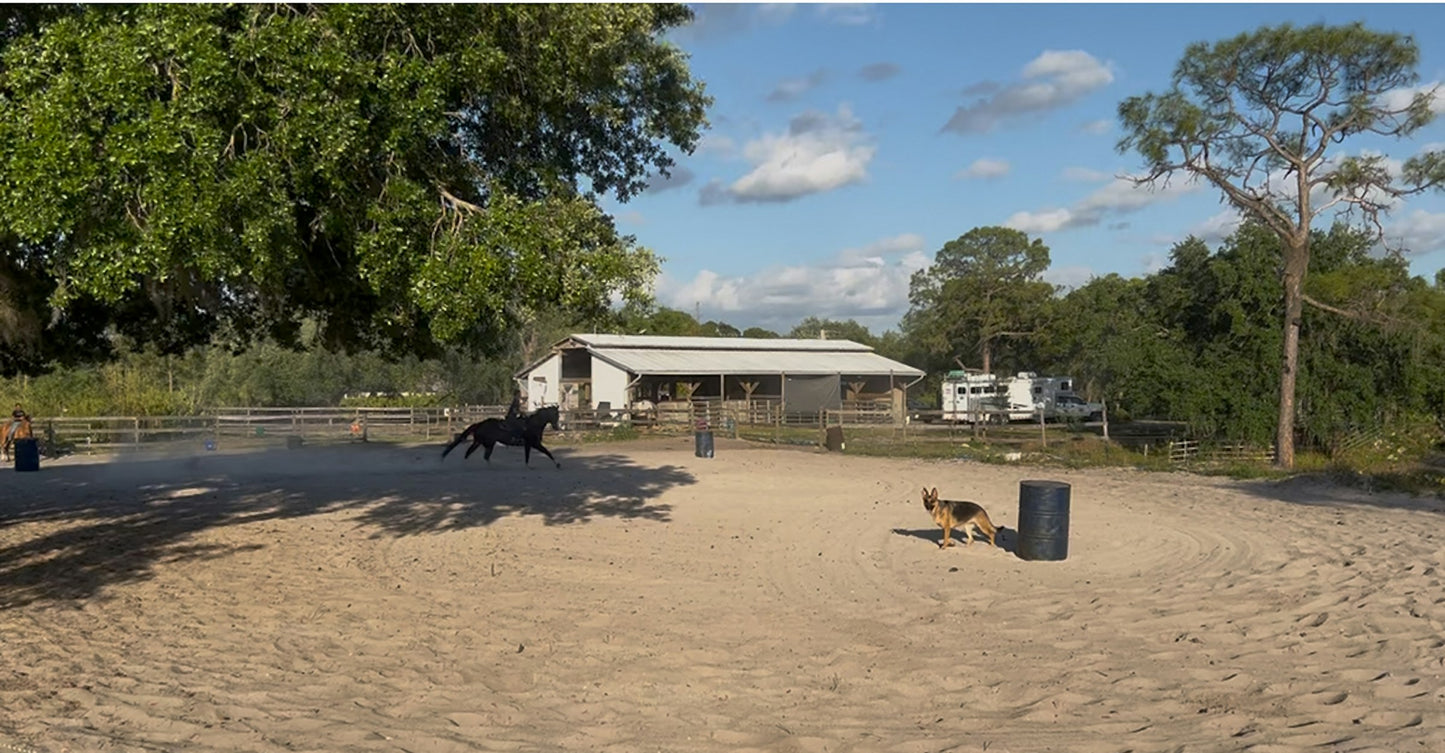 Saddle Up Stables LLC FLORIDA