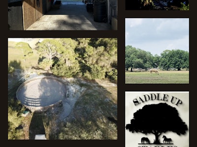 
                      
                        Saddle Up Stables LLC
                      
                    