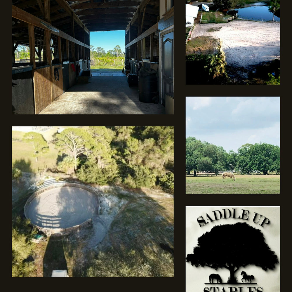
                      
                        Saddle Up Stables LLC FLORIDA
                      
                    