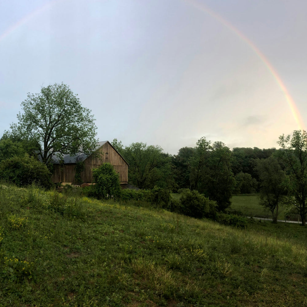 
                      
                        Laureleye Farm
                      
                    