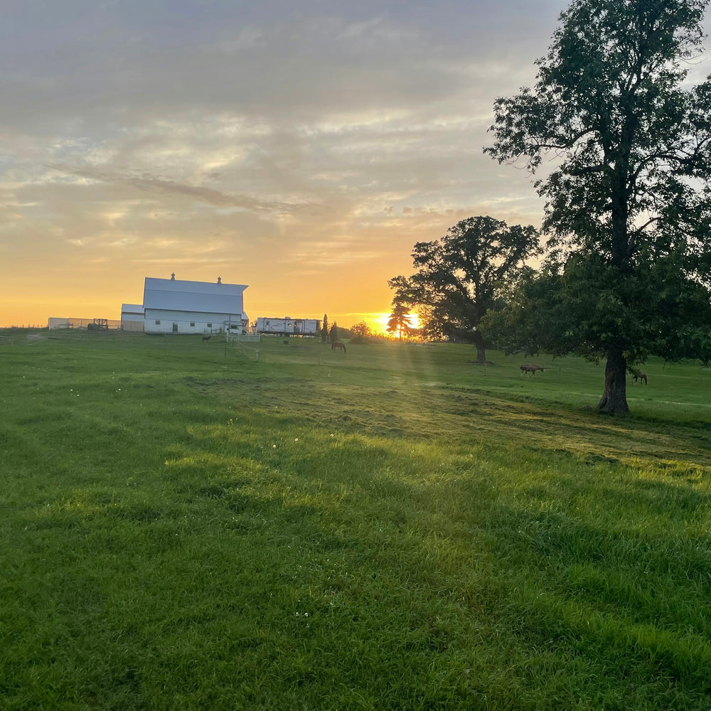 Yahweh Ranch and Arena