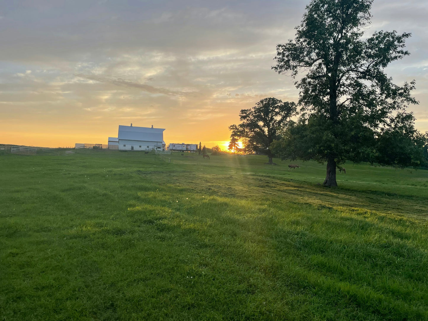 Yahweh Ranch and Arena