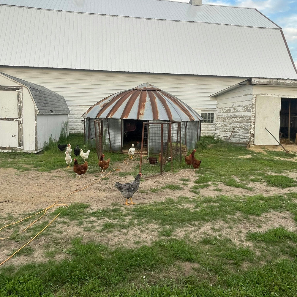 
                      
                        Yahweh Ranch and Arena
                      
                    