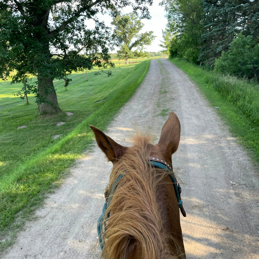 
                      
                        Yahweh Ranch and Arena
                      
                    