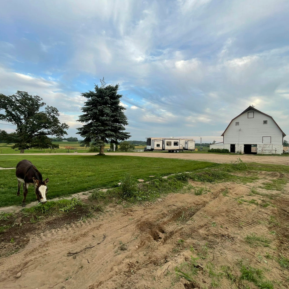 
                      
                        Yahweh Ranch and Arena
                      
                    