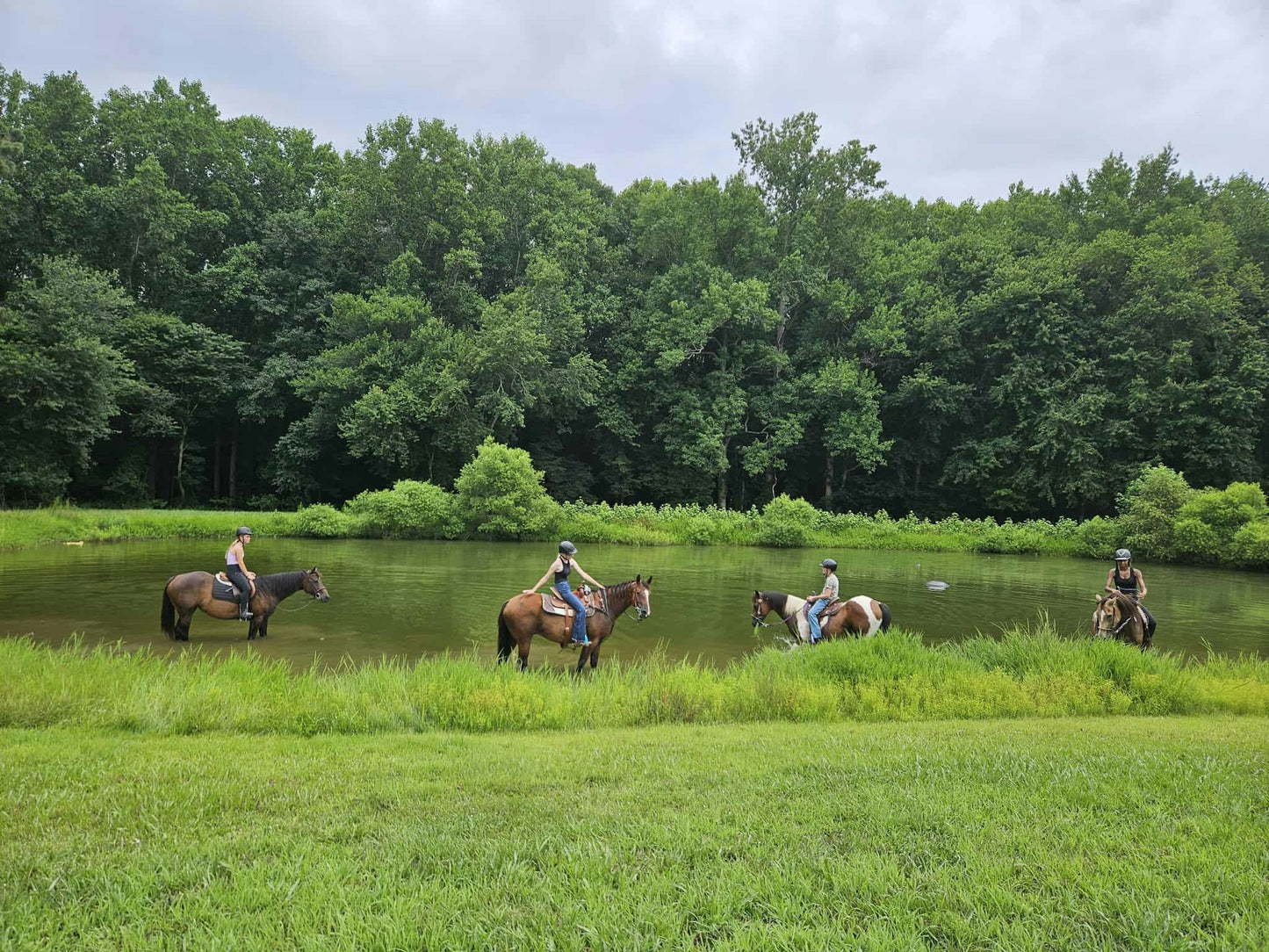 Creekside Acres
