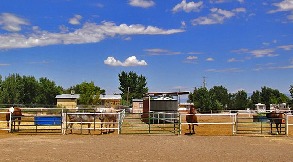 Kiva  RV Park and Horse Motel