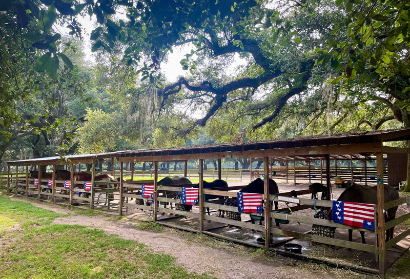 Middleton Place Equestrian Center