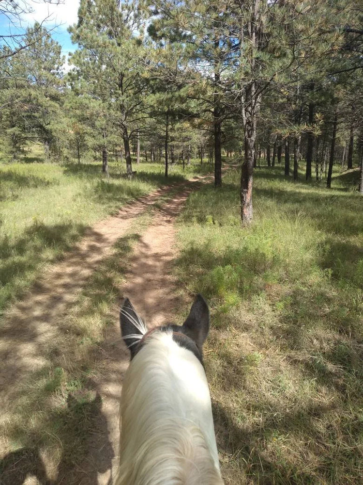 Gillespie Ranch