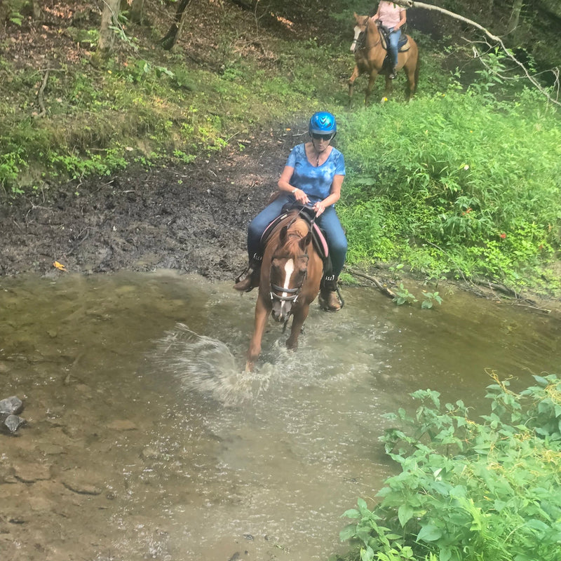 Ashley Moores Stables