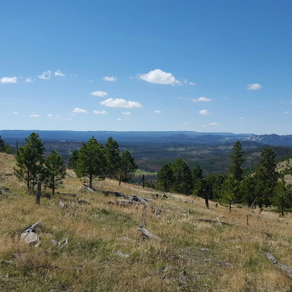 
                      
                        Broken Arrow Horse Camp and Campground
                      
                    