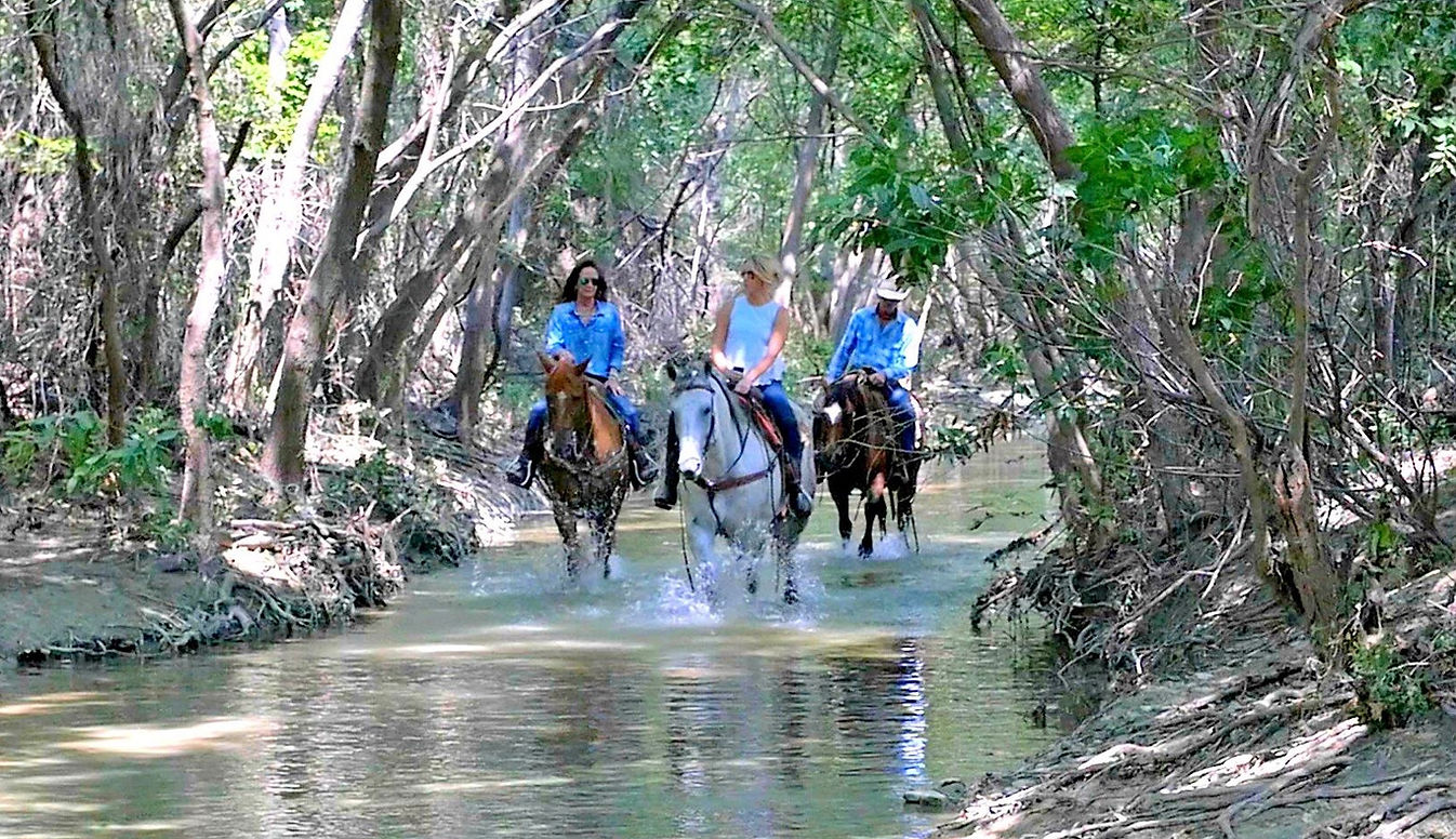Benbrook Stables