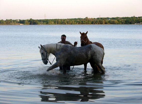 
                      
                        Benbrook Stables
                      
                    