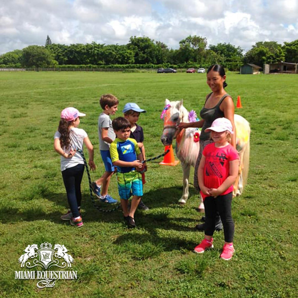 
                      
                        Miami Equestrian Club
                      
                    