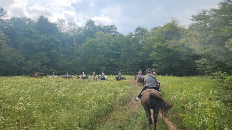 Mountain Trail Rides Horseback Riding & More