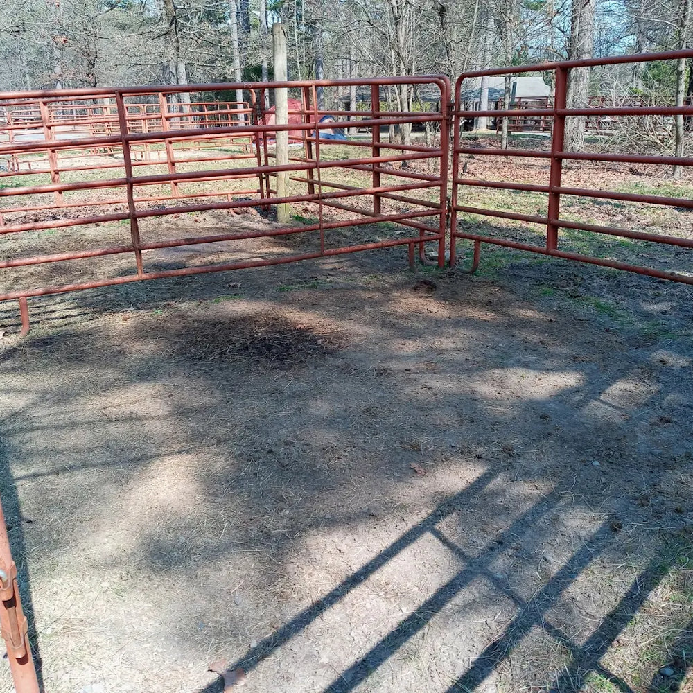 Cedar Lake Equestrian Camp