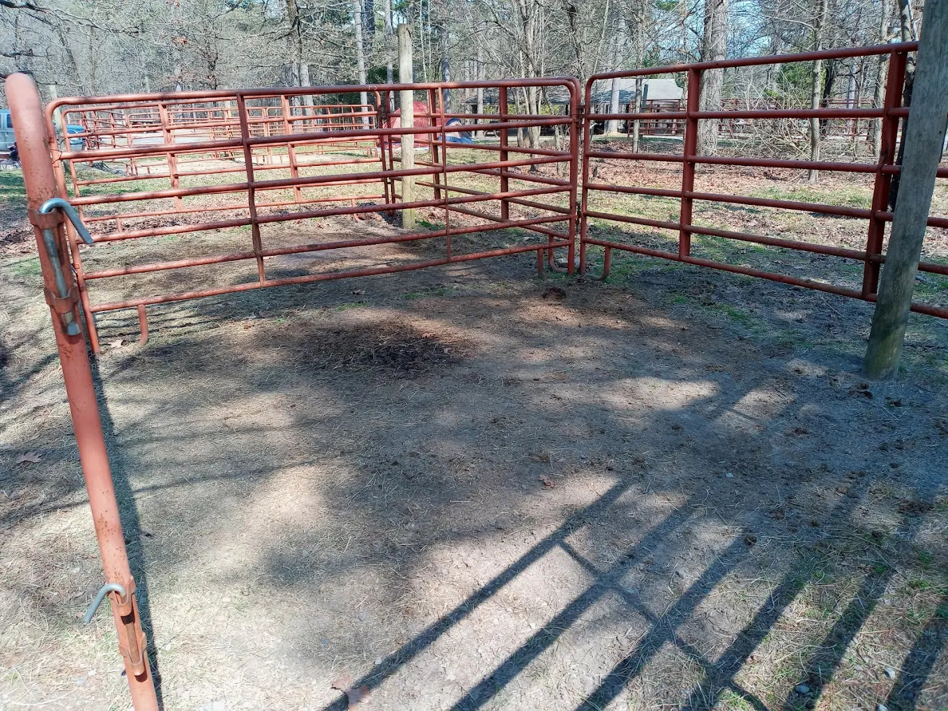 Cedar Lake Equestrian Camp